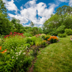 Fairfield garden