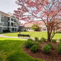 Brookhaven Courtyard